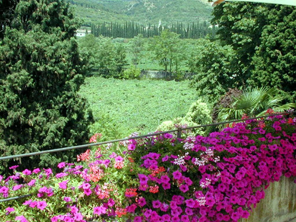 B&B Villa Monteleone SantʼAmbrogio di Valpolicella 外观 照片