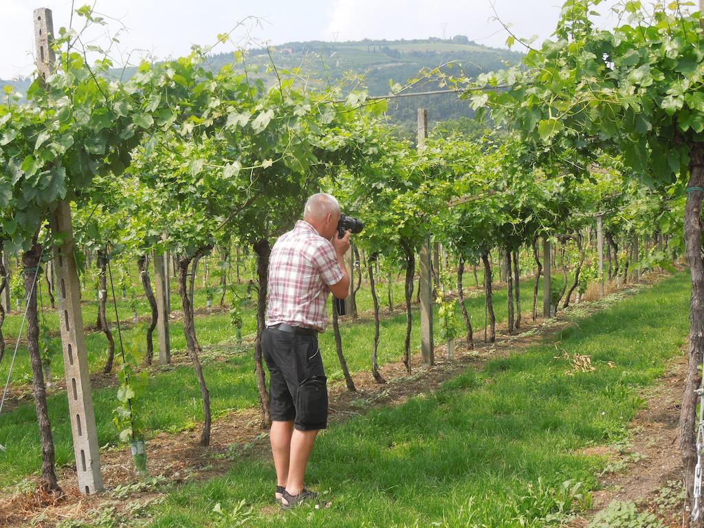 B&B Villa Monteleone SantʼAmbrogio di Valpolicella 外观 照片