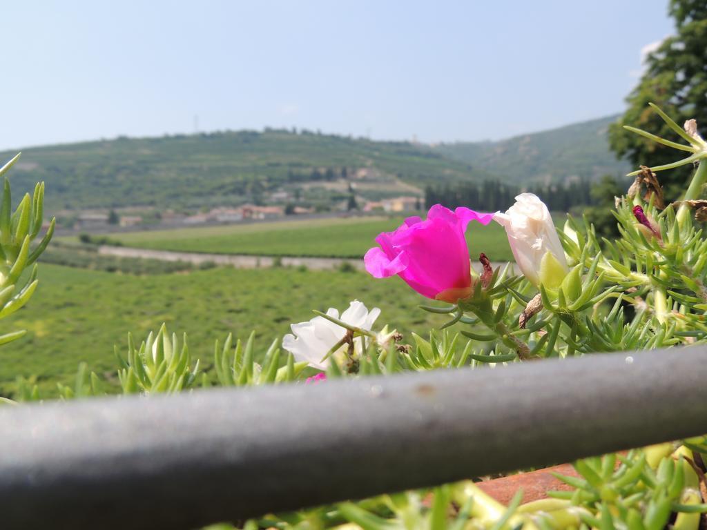 B&B Villa Monteleone SantʼAmbrogio di Valpolicella 外观 照片